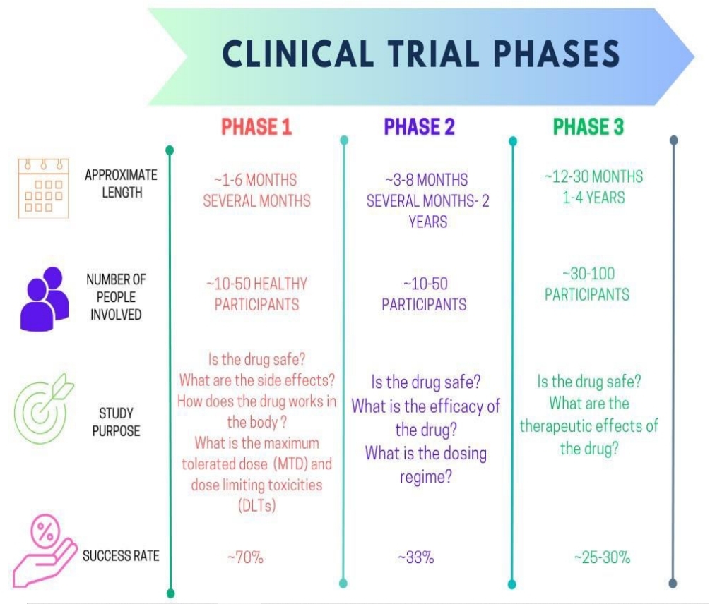 why-accurate-medical-interpretation-is-critical-in-each-phase-of-drug-development02.jpg