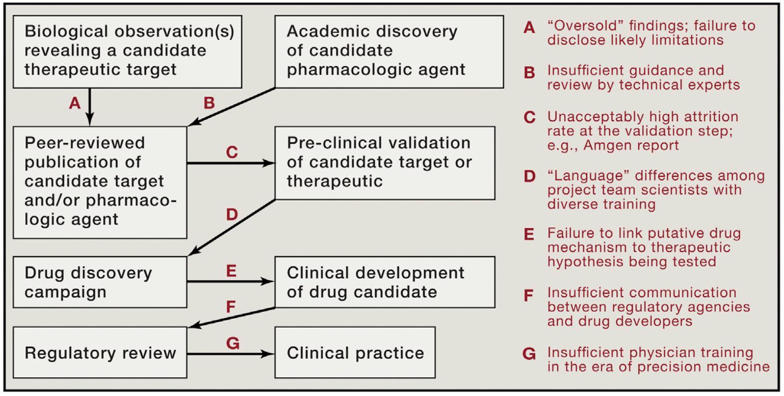 why-accurate-medical-interpretation-is-critical-in-each-phase-of-drug-development03.jpg
